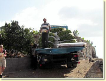 tf20121011.jpg