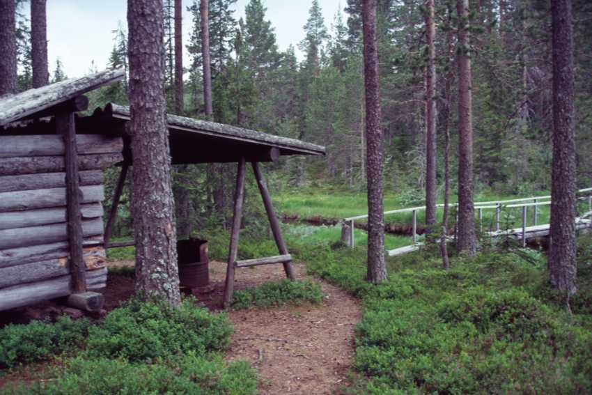 vl07.jpg