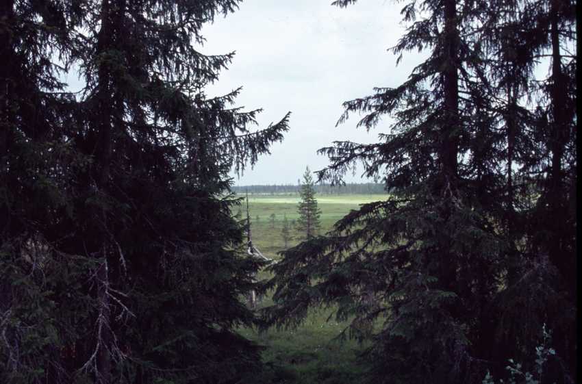 vl08.jpg